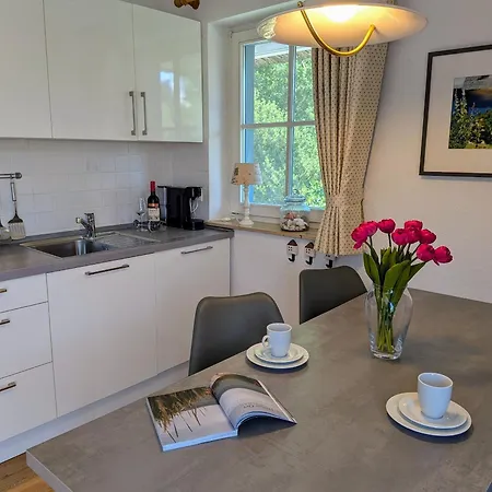 Boddenquartett - Suennenkieker